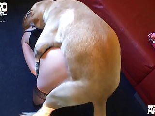 Ankha Animal Sex