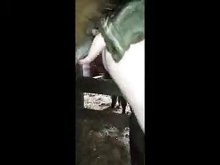 Sexy Video Animal Porn