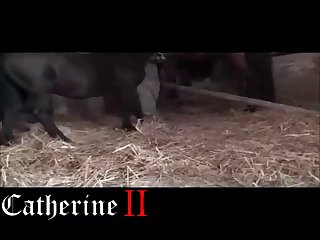 Horse Sex Dog