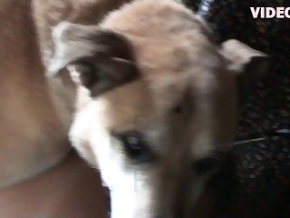 Egypt Animal Crossing Porn Video