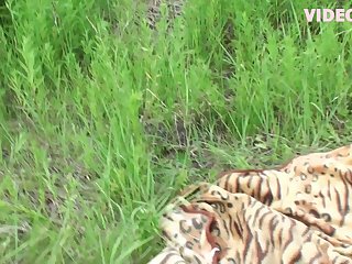 Wild Animal Porn Video