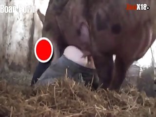 Xxx Xnxx Hd New
