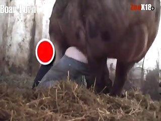 Xxx Xnxx Hd New
