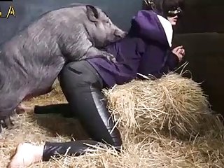 Girl And boar Porn