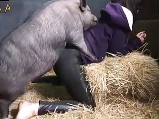 Girl And boar Porn