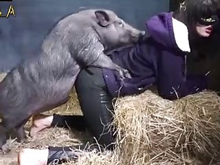 Girl And boar Porn
