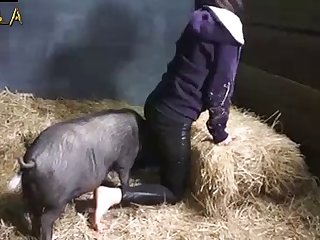 Girl And boar Porn