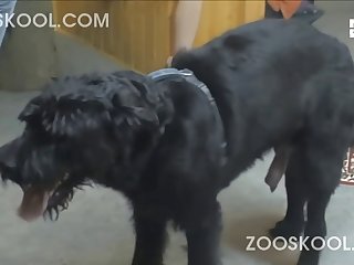 Petite Girl Dog Porn