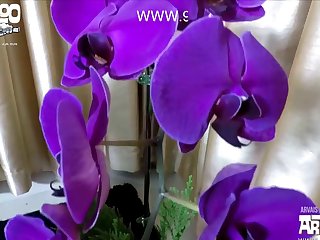 3d Animal Sex Videos