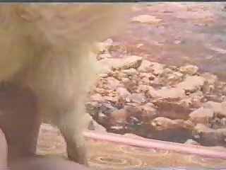 Pet Girl Dog Porn