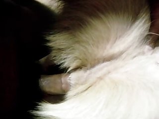 T.me Dog Porn