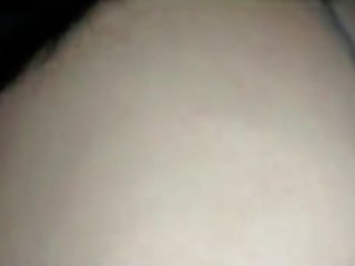 Harley Quin Dog Porn