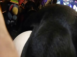 Moonlie Dog Porn