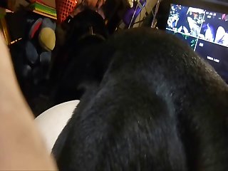 Moonlie Dog Porn