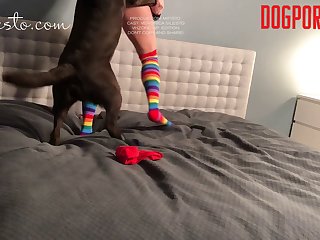 Teen Fucks Dog Porn