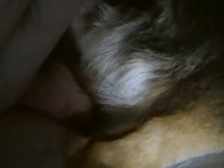 Girl Make Out With Dog Porn