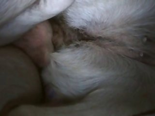 Girl Make Out With Dog Porn