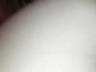 Funny Zoo Porn