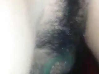 Funny Zoo Porn