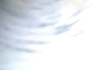 Animal Sex 1080p