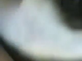Animal Sex 1080p
