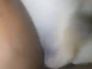 Animal Sex 1080p