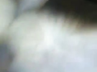 Animal Sex 1080p