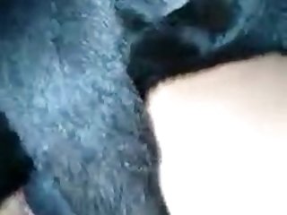 Nana Animal Sex