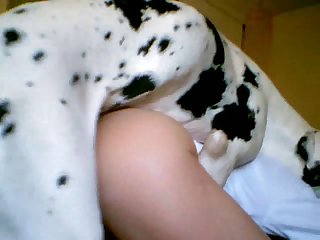 Animalsex