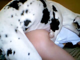 Animalsex
