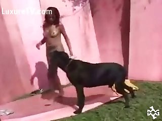 Pornô Animal