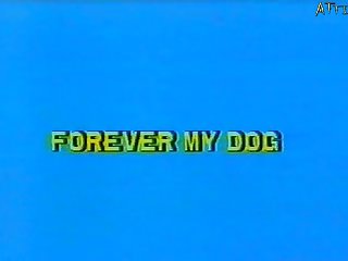 Filmes Zoofilia