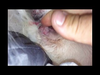 People With Huge Responsibilities