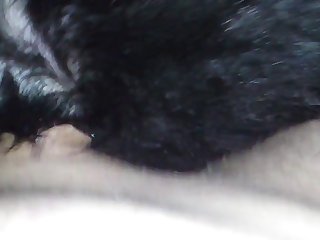 Someone More Willing. To Keep Everyone Happy Fiona Was