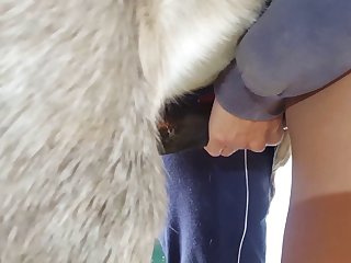 Horse Creampies And Floods Woman's Pussy With Cum